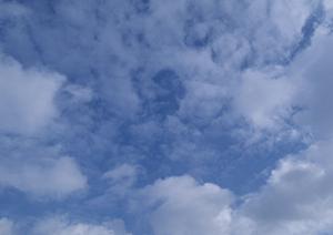 荒川区の信頼と実績を誇る葬儀相談サロン「ティア町屋」の魅力と店舗情報