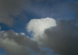 静岡県富士市にある家族葬のタクセル国久保：安心・低価格の家族葬専門斎場の特徴と魅力