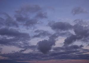 静岡市で信頼できる葬祭サービスを提供する富士葬祭静岡の詳細と特徴